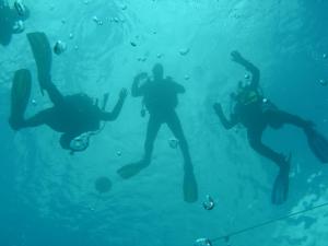 diving zurrieq 019